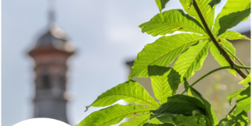 Klima-Kirchturm-2026-Titelbild_1080x1080.png_1195432692