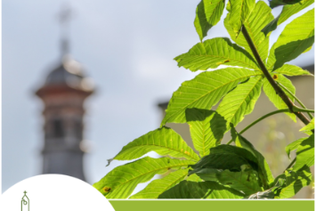 Klima-Kirchturm-2026-Titelbild_1080x1080.png_1195432692