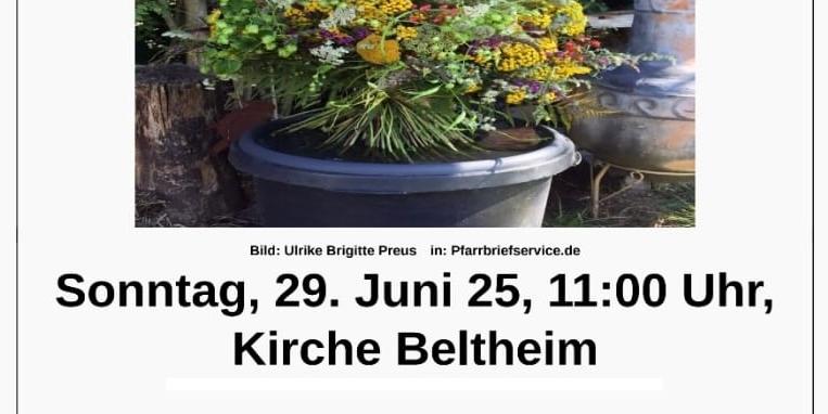 Sonntagszeit 29. Juni 2025