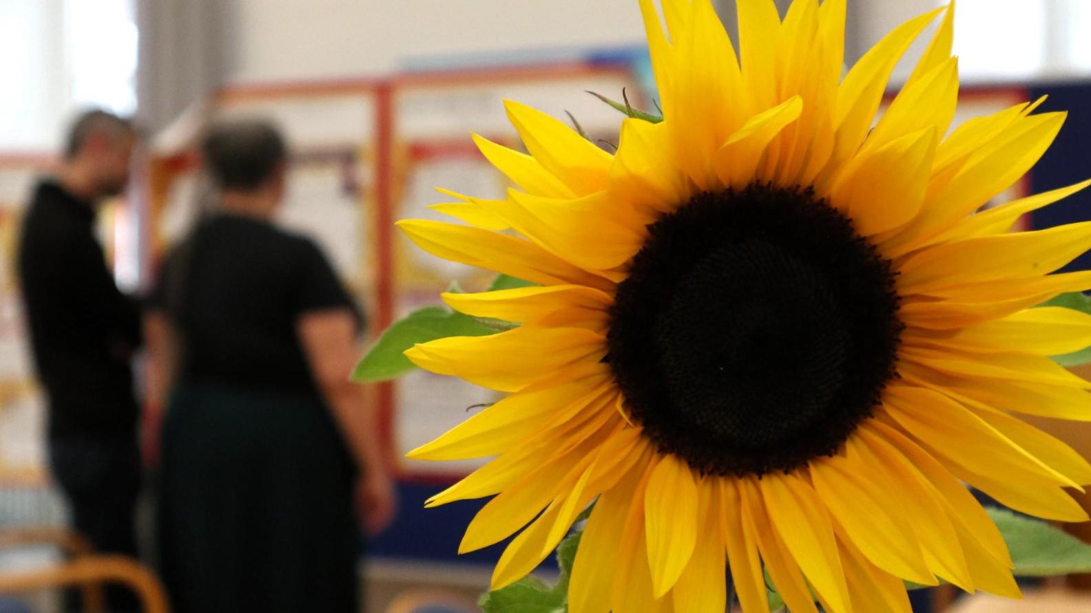 SynodalversammlungSimmer_Sonnenblume_jf.jpg_886797558