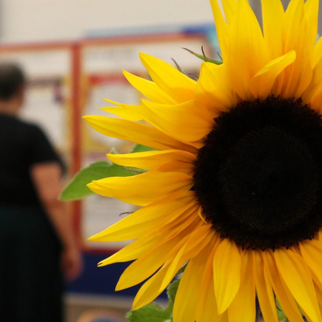 SynodalversammlungSimmer_Sonnenblume_jf.jpg_886797558