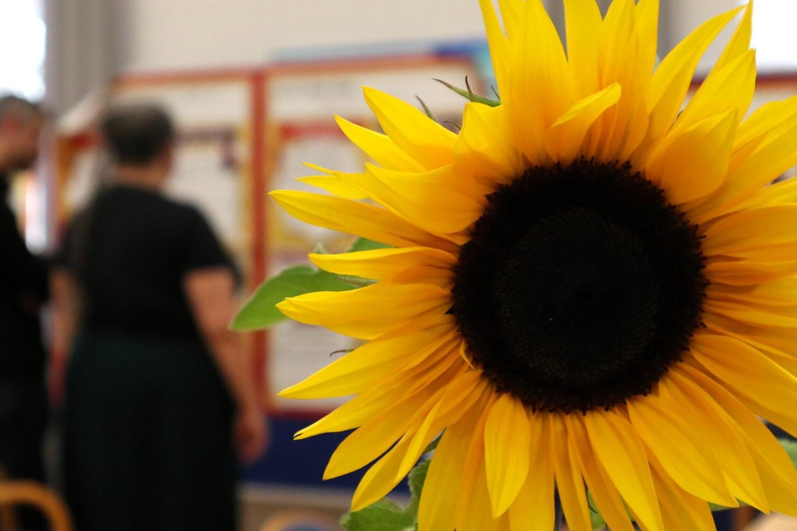 SynodalversammlungSimmer_Sonnenblume_jf.jpg_886797558